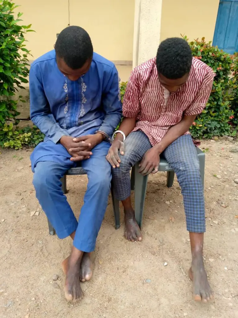 Police Arrest Brothers In Osun For Alleged Theft, Conspiracy