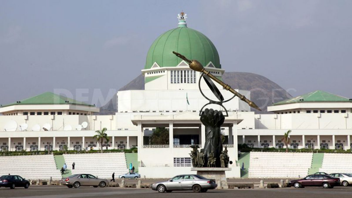 National Assembly After My Life - Tinubu's Minister Cries Out Over $500m Loan