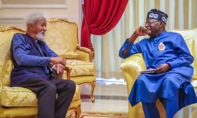 Nobel laureate, Professor Wole Soyinka has criticised President Bola Tinubu over failure to condemn shooting at protesters in the address