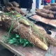 Farmer Wins N500,000 In Anambra community For Harvesting Weightiest Yam