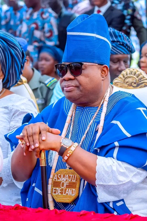 Diaspora Groups Commend Governor Adeleke Over Minning Reforms, Governance Initiatives