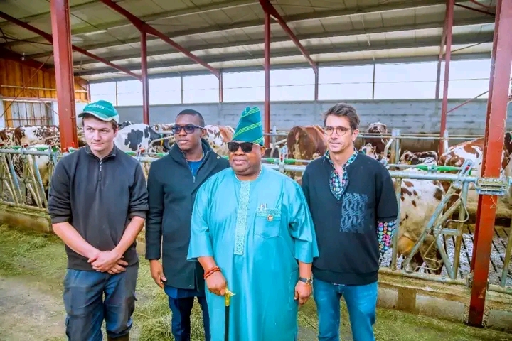 Livestock Summit: Gov Adeleke Mulls Localisation Of Livestock Innovations