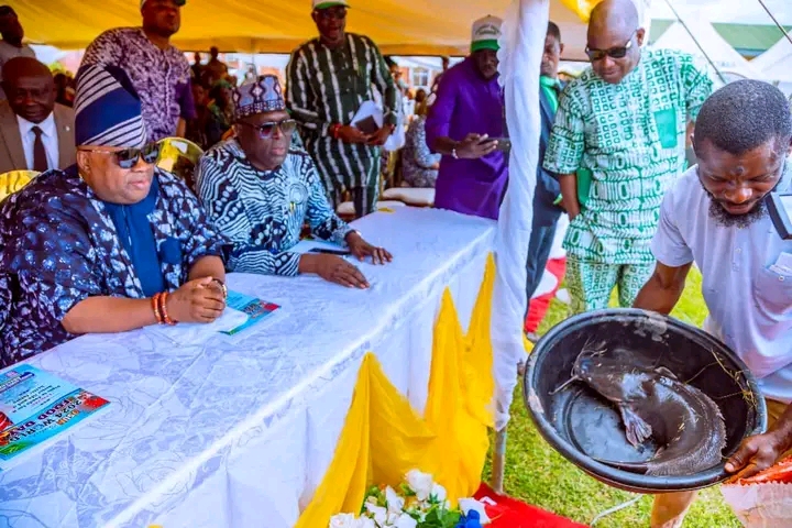 World Food Day: Gov Adeleke Lists Milestones In Agricultural Sector