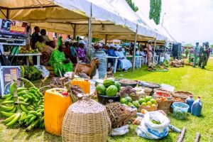 World Food Day: Gov Adeleke Lists Milestones In Agricultural Sector