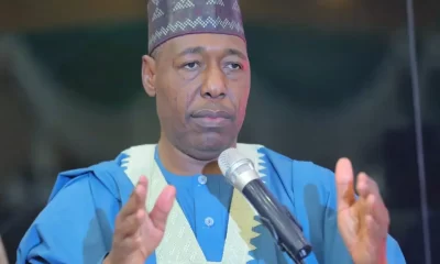 Tax Reform Bills: I Know You Can Have Your - Zulum To Tinubu