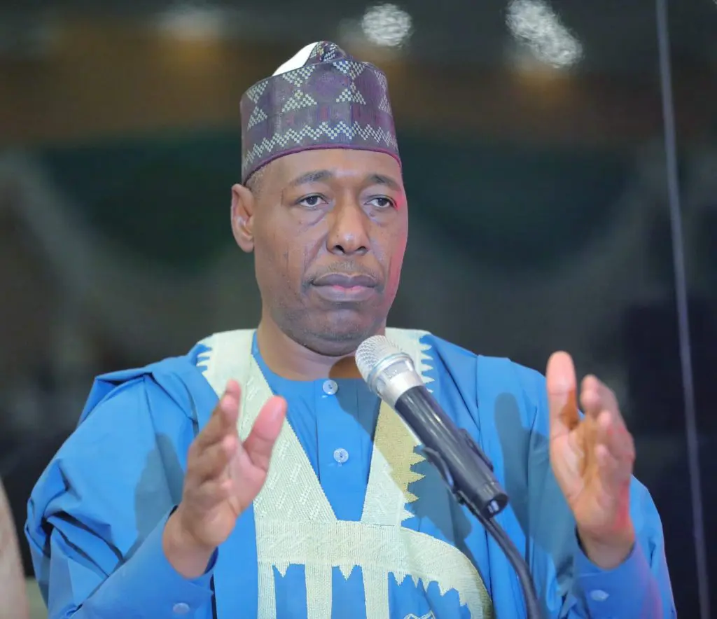 Tax Reform Bills: I Know You Can Have Your - Zulum To Tinubu