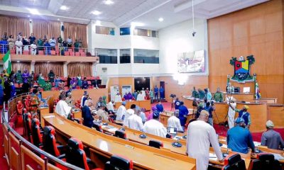 Impeachment : Nothing Has Changed, Lagos Assembly United Behind Meranda - Olukayode