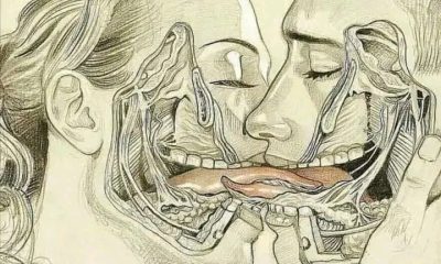 Intimate Secrets Of Oral Cavity: Unlocking Deeper Connection And Intimacy