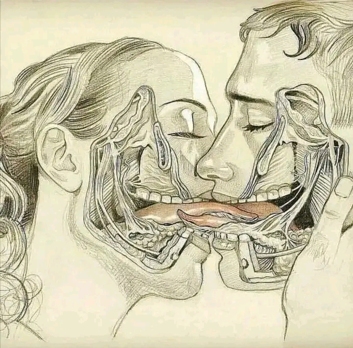 Intimate Secrets Of Oral Cavity: Unlocking Deeper Connection And Intimacy