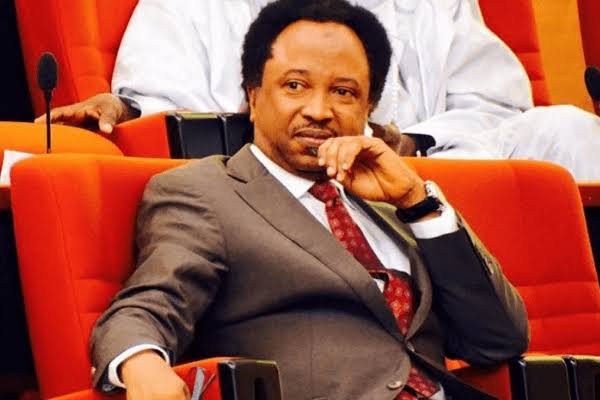 ‘Disruption Has Started’ – Shehu Sani Reacts To US Withdrawal From WHO