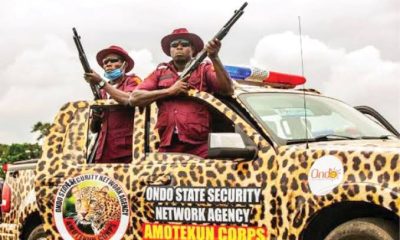 Amotekun Calls For Peace As Cows Allegedly Destroy N265m Crops In Ondo