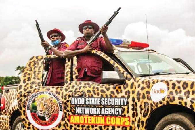 Amotekun Calls For Peace As Cows Allegedly Destroy N265m Crops In Ondo