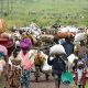 Repatriation Of 400,000 Nigerians Across Three African Countries Raises Concerns