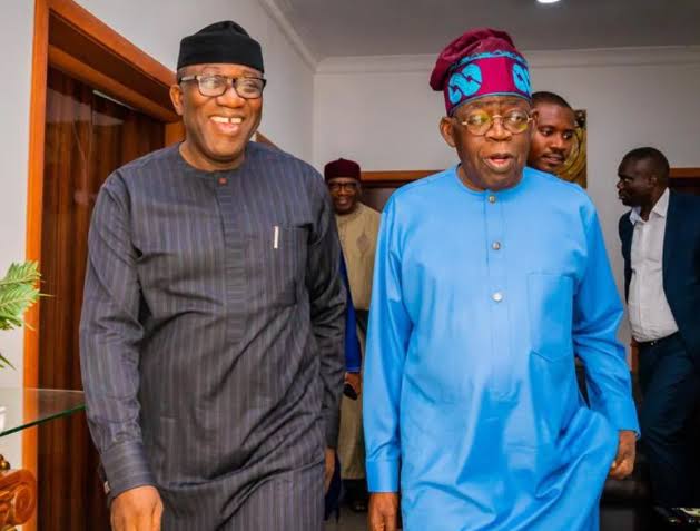 ‘Meaning-well Not Enough In Leadership’ - Fayemi Tells Tinubu