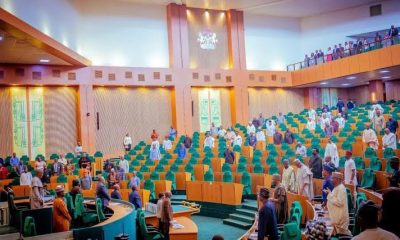 BREAKING: Reps Makes U-turn On Bill To Strip VP, Govs Of Immunity