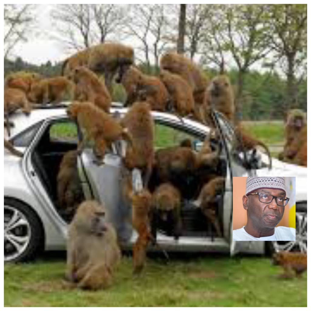 Kwara APC: A Troop of Monkeys Without Coordination,By Arc. Ayuba Musbau Kawu