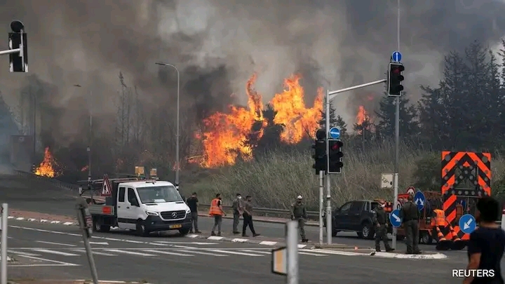 Mixed Reactions Trail Israel Wildlife, 5,000 Acres Burn