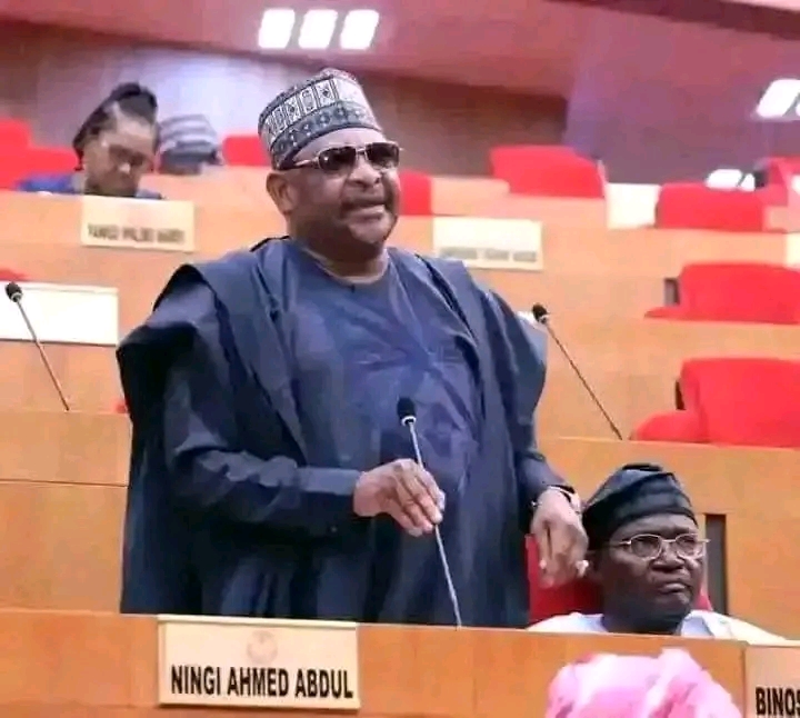 Insecurity: ‘I’m Not Sure Current Service Chiefs Have Capacity To End Banditry In Nigeria’ – Senator Ningi