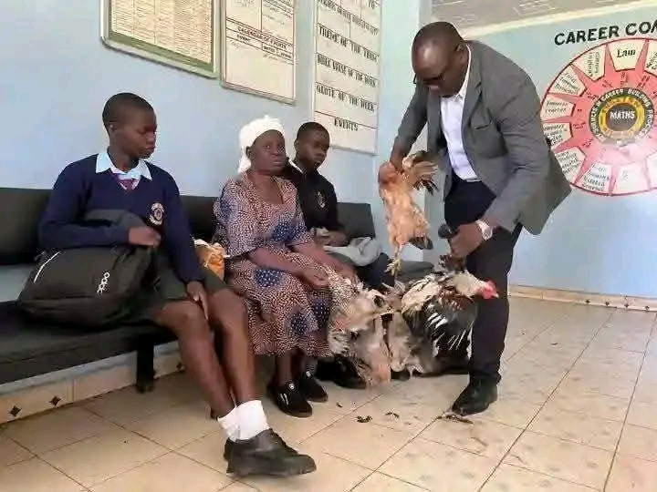 Drama As Grandmother Storms School With Six Hens To Settle Granddaughter's Unpaid Fees