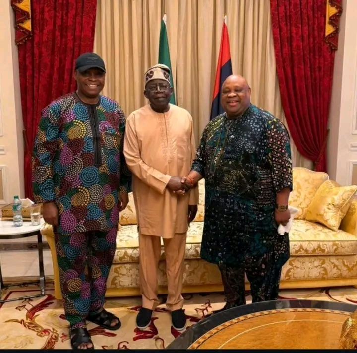 If You Continue On This Path, You Will Lose Our Respect - Osun APC Member Attacks Tinubu Over Adeleke’s Defection Rumours