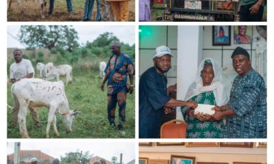 Eniade Begins Distribution of Sallah Cows, Rams and Financial Support In IBO Federal Constituency