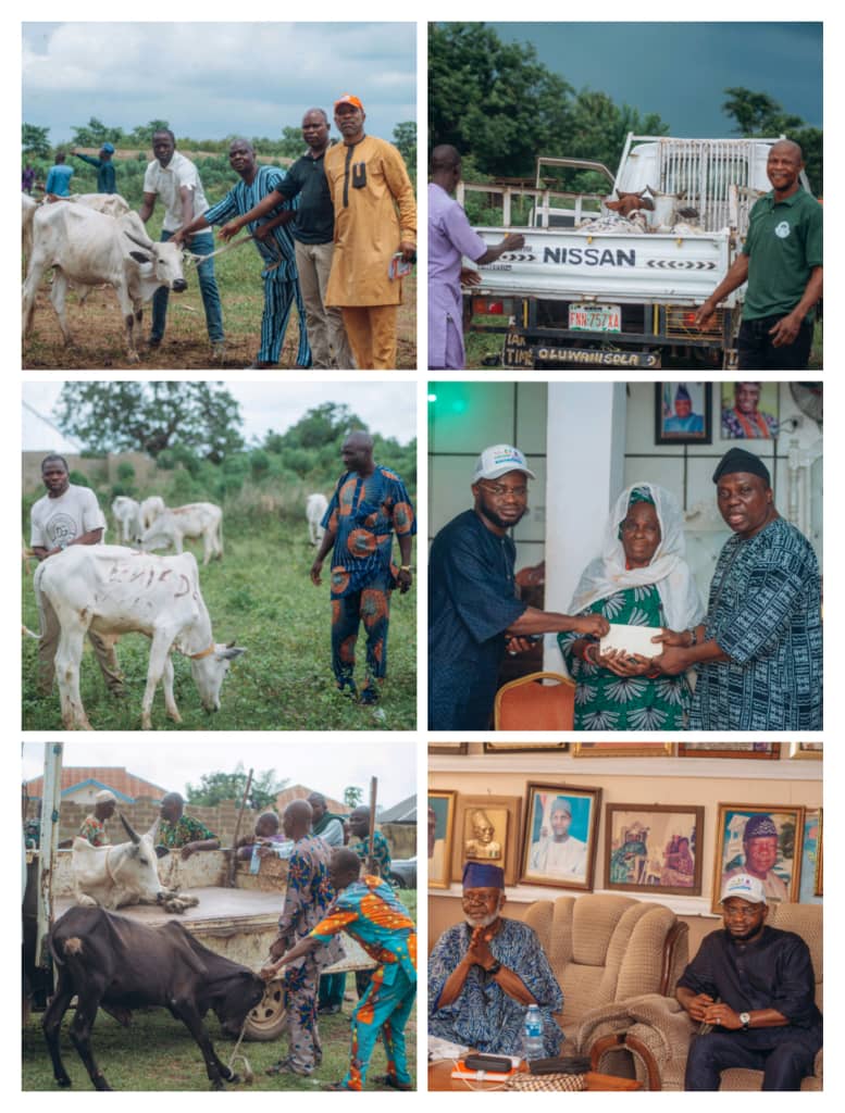 Eniade Begins Distribution of Sallah Cows, Rams and Financial Support In IBO Federal Constituency