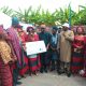 Agboluaje Kajola Foundation Disburses N43m Grants to Ondo Artisans, Cooperative Groups, Others