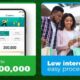 FairMoney, Branch, Other Lending Money Apps In Nigeria: Advantages and Risks